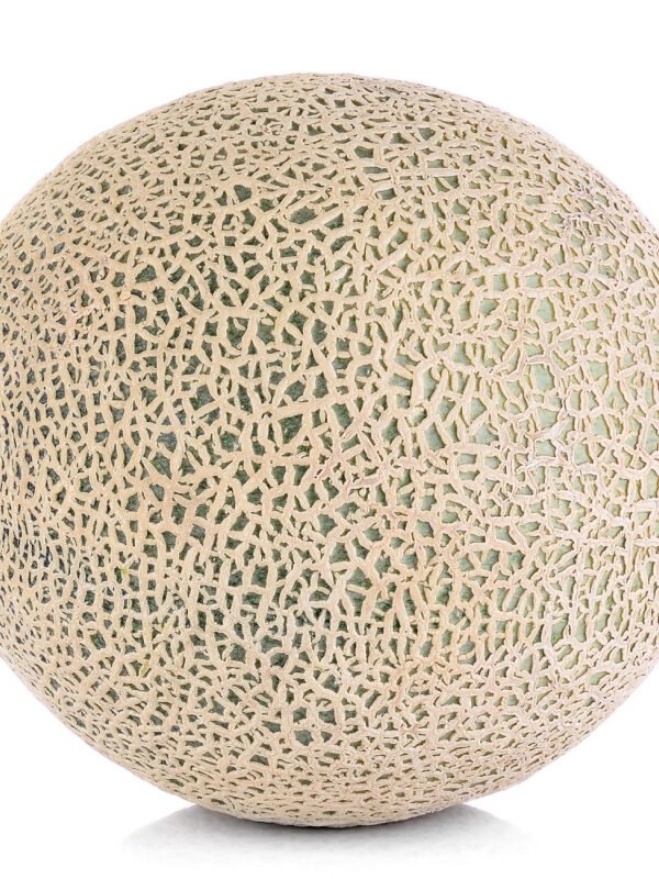 Cantaloupe